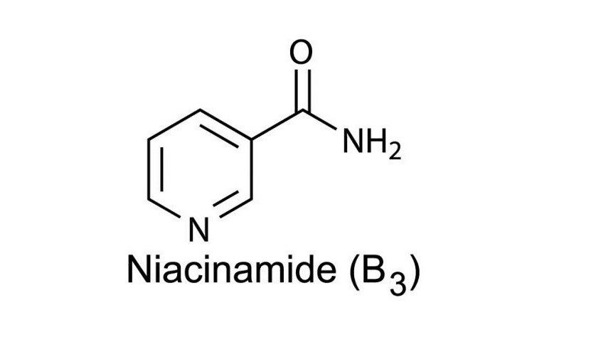 Niacinamide là gì? Công dụng, lợi ích, cách dùng của Niacinamide – ZEE  Store Vietnam
